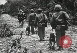 Standbild 1st Marine Division Peleliu Palau Inseln, 1944, aus Sekunde 58 historischem Filmmaterial Videoclip 65675022849