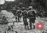 Standbild 1st Marine Division Peleliu Palau Inseln, 1944, aus Sekunde 59 historischem Filmmaterial Videoclip 65675022849