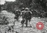 Standbild 1st Marine Division Peleliu Palau Inseln, 1944, aus Sekunde 60 historischem Filmmaterial Videoclip 65675022849