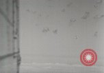 Standbild US B-24 Liberator Bomber angreifen Iwo Jima Iwo Jima, 1945, aus Sekunde 20 historischem Filmmaterial Videoclip 65675022850