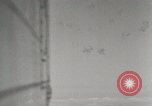 Standbild US B-24 Liberator Bomber angreifen Iwo Jima Iwo Jima, 1945, aus Sekunde 22 historischem Filmmaterial Videoclip 65675022850