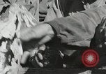 Standbild 1st Marine Division Peleliu Palau Inseln, 1945, aus Sekunde 22 historischem Filmmaterial Videoclip 65675022853