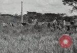 Standbild 1st Marine Division Peleliu Palau Inseln, 1945, aus Sekunde 58 historischem Filmmaterial Videoclip 65675022853