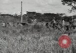 Standbild 1st Marine Division Peleliu Palau Inseln, 1945, aus Sekunde 60 historischem Filmmaterial Videoclip 65675022853