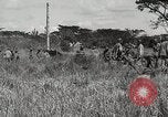 Standbild 1st Marine Division Peleliu Palau Inseln, 1945, aus Sekunde 61 historischem Filmmaterial Videoclip 65675022853
