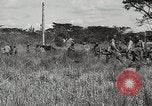 Standbild 1st Marine Division Peleliu Palau Inseln, 1945, aus Sekunde 62 historischem Filmmaterial Videoclip 65675022853