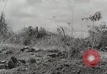 Standbild US Army 81st Infantry Division Palau Inseln, 1945, aus Sekunde 6 historischem Filmmaterial Videoclip 65675022854