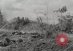 Standbild US Army 81st Infantry Division Palau Inseln, 1945, aus Sekunde 7 historischem Filmmaterial Videoclip 65675022854