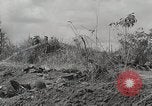 Standbild US Army 81st Infantry Division Palau Inseln, 1945, aus Sekunde 8 historischem Filmmaterial Videoclip 65675022854