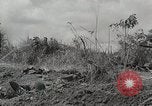 Standbild US Army 81st Infantry Division Palau Inseln, 1945, aus Sekunde 9 historischem Filmmaterial Videoclip 65675022854