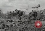 Standbild US Army 81st Infantry Division Palau Inseln, 1945, aus Sekunde 11 historischem Filmmaterial Videoclip 65675022854