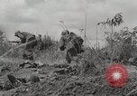 Standbild US Army 81st Infantry Division Palau Inseln, 1945, aus Sekunde 12 historischem Filmmaterial Videoclip 65675022854