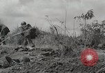 Standbild US Army 81st Infantry Division Palau Inseln, 1945, aus Sekunde 13 historischem Filmmaterial Videoclip 65675022854