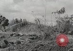 Standbild US Army 81st Infantry Division Palau Inseln, 1945, aus Sekunde 14 historischem Filmmaterial Videoclip 65675022854