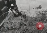 Standbild US Army 81st Infantry Division Palau Inseln, 1945, aus Sekunde 16 historischem Filmmaterial Videoclip 65675022854