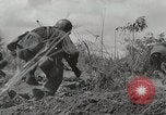 Standbild US Army 81st Infantry Division Palau Inseln, 1945, aus Sekunde 17 historischem Filmmaterial Videoclip 65675022854