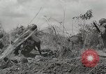 Standbild US Army 81st Infantry Division Palau Inseln, 1945, aus Sekunde 18 historischem Filmmaterial Videoclip 65675022854