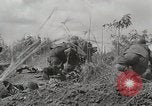 Standbild US Army 81st Infantry Division Palau Inseln, 1945, aus Sekunde 20 historischem Filmmaterial Videoclip 65675022854