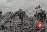 Standbild US Army 81st Infantry Division Palau Inseln, 1945, aus Sekunde 21 historischem Filmmaterial Videoclip 65675022854