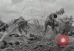 Standbild US Army 81st Infantry Division Palau Inseln, 1945, aus Sekunde 22 historischem Filmmaterial Videoclip 65675022854