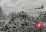 Standbild US Army 81st Infantry Division Palau Inseln, 1945, aus Sekunde 23 historischem Filmmaterial Videoclip 65675022854