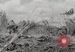 Standbild US Army 81st Infantry Division Palau Inseln, 1945, aus Sekunde 24 historischem Filmmaterial Videoclip 65675022854