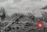 Standbild US Army 81st Infantry Division Palau Inseln, 1945, aus Sekunde 25 historischem Filmmaterial Videoclip 65675022854