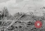Standbild US Army 81st Infantry Division Palau Inseln, 1945, aus Sekunde 27 historischem Filmmaterial Videoclip 65675022854