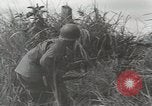 Standbild US Army 81st Infantry Division Palau Inseln, 1945, aus Sekunde 29 historischem Filmmaterial Videoclip 65675022854