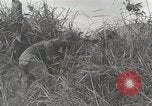 Standbild US Army 81st Infantry Division Palau Inseln, 1945, aus Sekunde 30 historischem Filmmaterial Videoclip 65675022854