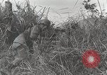 Standbild US Army 81st Infantry Division Palau Inseln, 1945, aus Sekunde 31 historischem Filmmaterial Videoclip 65675022854