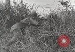 Standbild US Army 81st Infantry Division Palau Inseln, 1945, aus Sekunde 32 historischem Filmmaterial Videoclip 65675022854