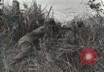 Standbild US Army 81st Infantry Division Palau Inseln, 1945, aus Sekunde 33 historischem Filmmaterial Videoclip 65675022854
