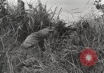 Standbild US Army 81st Infantry Division Palau Inseln, 1945, aus Sekunde 35 historischem Filmmaterial Videoclip 65675022854