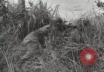 Standbild US Army 81st Infantry Division Palau Inseln, 1945, aus Sekunde 36 historischem Filmmaterial Videoclip 65675022854