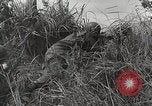 Standbild US Army 81st Infantry Division Palau Inseln, 1945, aus Sekunde 37 historischem Filmmaterial Videoclip 65675022854