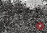 Standbild US Army 81st Infantry Division Palau Inseln, 1945, aus Sekunde 40 historischem Filmmaterial Videoclip 65675022854