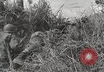 Standbild US Army 81st Infantry Division Palau Inseln, 1945, aus Sekunde 44 historischem Filmmaterial Videoclip 65675022854