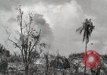 Image of 1st Marine Division Peleliu Palau Islands, 1944, second 31 stock footage video 65675022856