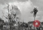 Image of 1st Marine Division Peleliu Palau Islands, 1944, second 34 stock footage video 65675022856