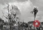 Image of 1st Marine Division Peleliu Palau Islands, 1944, second 38 stock footage video 65675022856