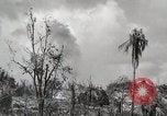 Image of 1st Marine Division Peleliu Palau Islands, 1944, second 40 stock footage video 65675022856