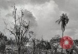 Image of 1st Marine Division Peleliu Palau Islands, 1944, second 41 stock footage video 65675022856