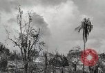 Image of 1st Marine Division Peleliu Palau Islands, 1944, second 42 stock footage video 65675022856