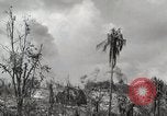 Image of 1st Marine Division Peleliu Palau Islands, 1944, second 48 stock footage video 65675022856