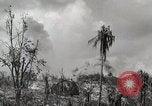 Image of 1st Marine Division Peleliu Palau Islands, 1944, second 49 stock footage video 65675022856