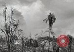 Image of 1st Marine Division Peleliu Palau Islands, 1944, second 50 stock footage video 65675022856