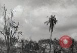 Image of 1st Marine Division Peleliu Palau Islands, 1944, second 57 stock footage video 65675022856
