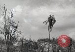 Image of 1st Marine Division Peleliu Palau Islands, 1944, second 58 stock footage video 65675022856