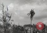 Image of 1st Marine Division Peleliu Palau Islands, 1944, second 59 stock footage video 65675022856